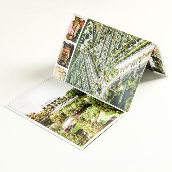 Art Carton - Image 4