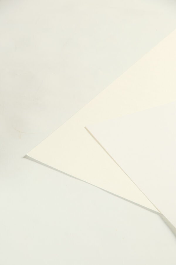 Ivory - Image 5